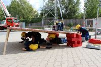 IMG_9837 (Large)